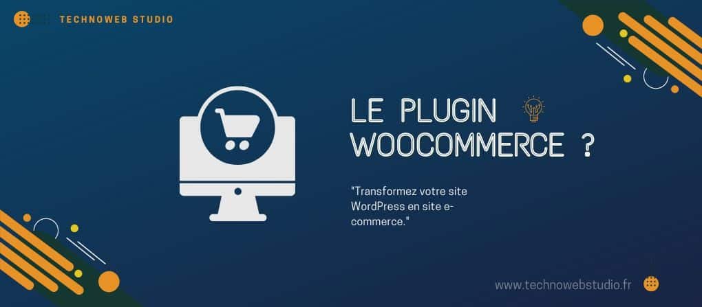 Image article woocommerce - technoweb studio - Agence web Narbonne