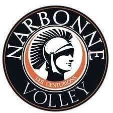 Logo du narbonne volley